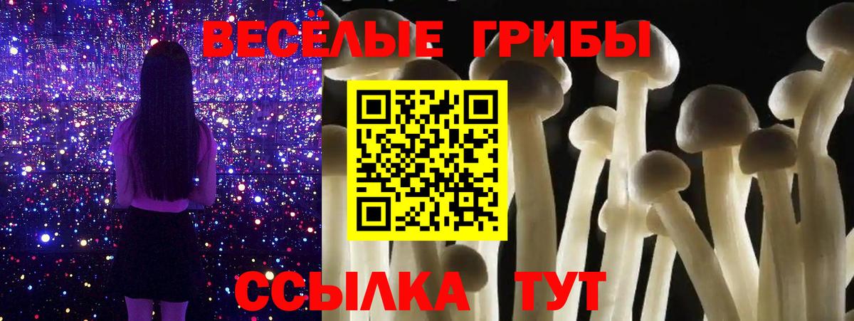 Галлюциногенные грибы Magic Shrooms Новочебоксарск