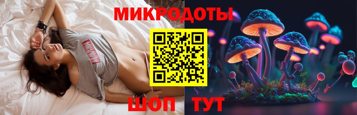 Новочебоксарск  Псилоцибиновые грибы MAGIC MUSHROOMS  Вход с VPN 