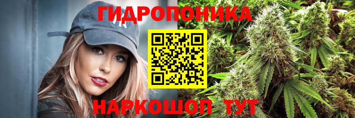 Шишки марихуана Bruce Banner  Шишки марихуана THC 21%  Вход с VPN  Новочебоксарск  Каннабис конопля  Шишки марихуана марихуана 